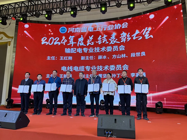 索凌電氣榮獲河南省電工行業(yè)雙優(yōu)稱(chēng)號(hào)， 持續(xù)助力電力行業(yè)發(fā)展